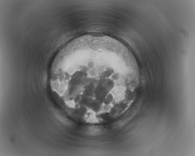 X0000113110261200910091205
