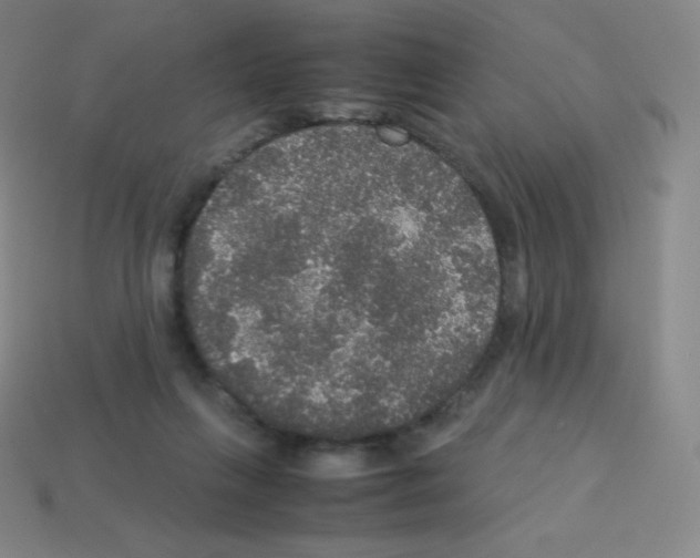 X0000113110263200910091205