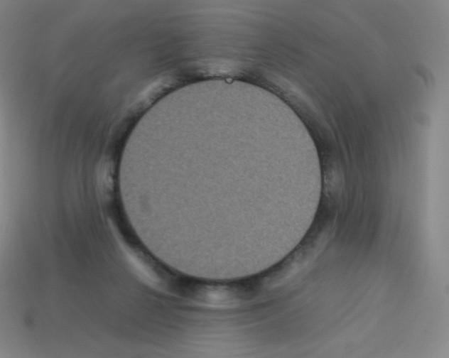 X0000113110264200910091205