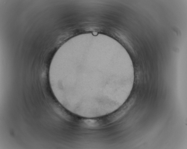X0000113110265200910091205
