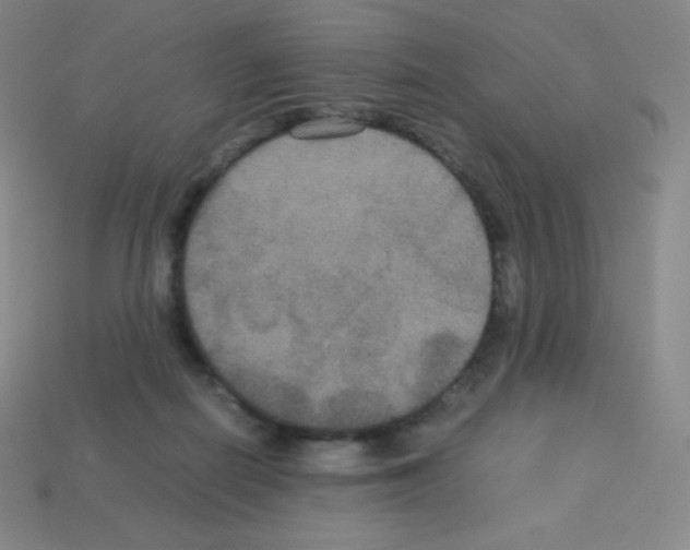 X0000113110266200910091205