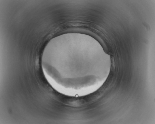 X0000113110267200910091205