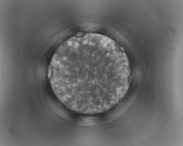 X0000113110268200910091205