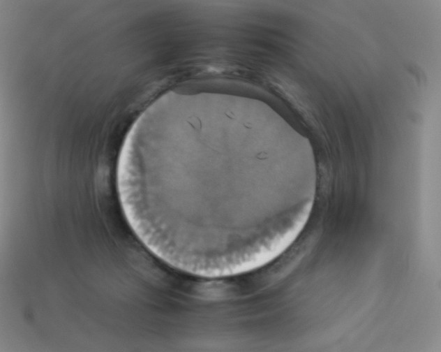 X0000113110269200910091205