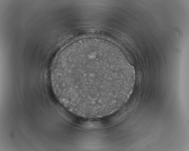 X0000113110270200910091205