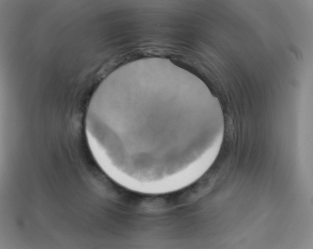 X0000113110271200910091205
