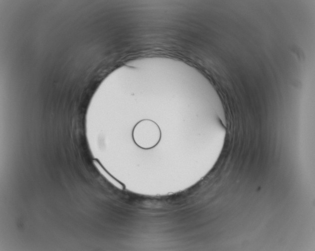 X0000113110272200910091205