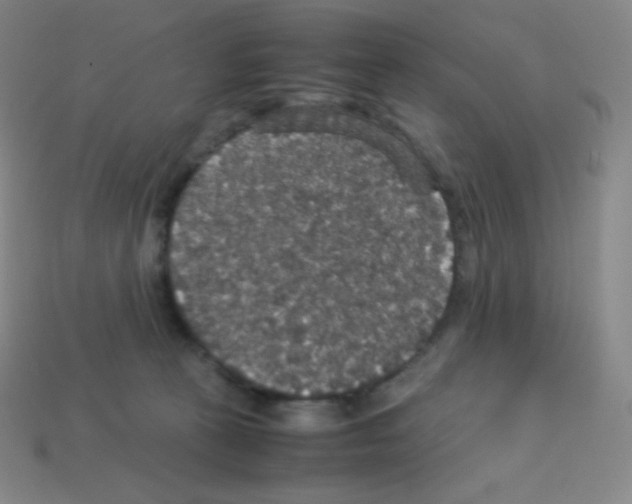 X0000113110273200910091205