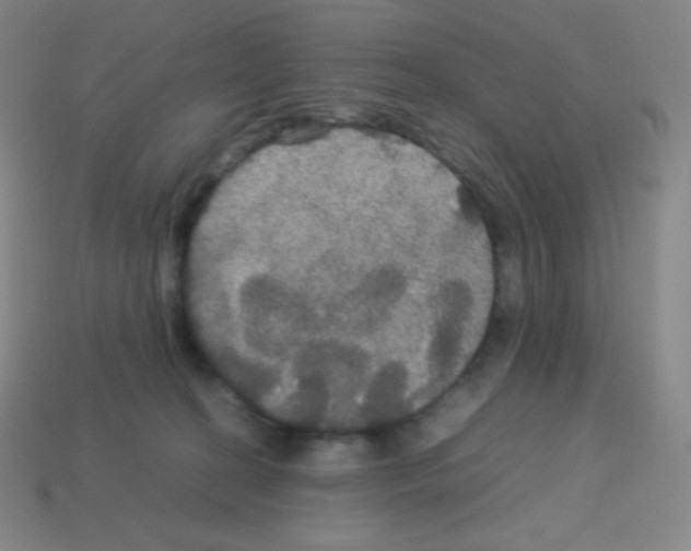 X0000113110274200910091205