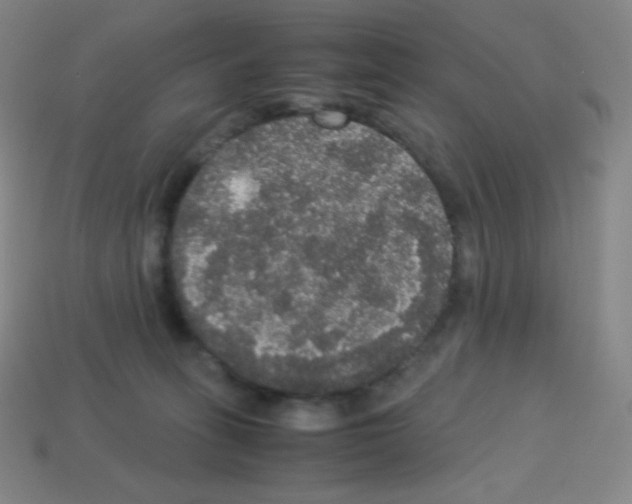 X0000113110275200910091205