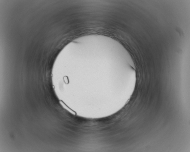 X0000113110276200910091205