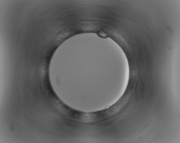 X0000113110277200910091205