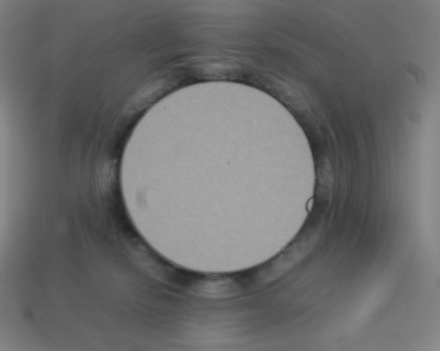 X0000113110278200910091205