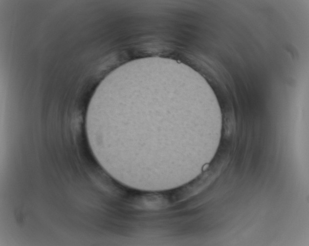 X0000113110279200910091205