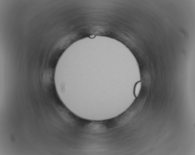 X0000113110280200910091205