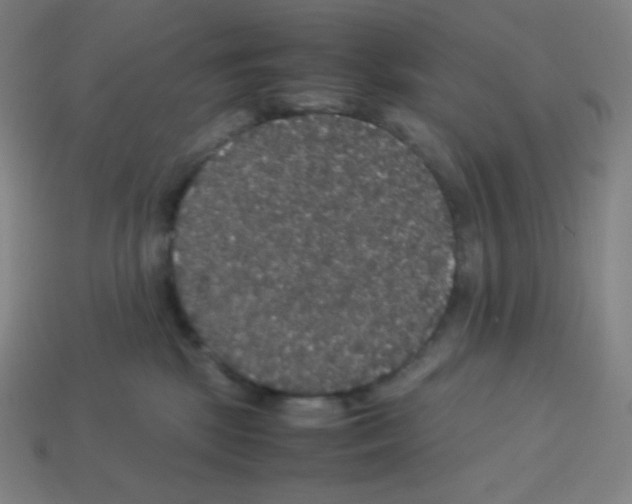 X0000113110281200910091205