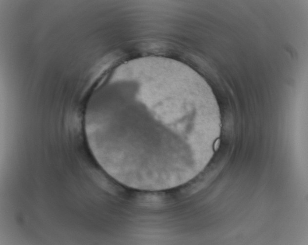 X0000113110282200910091205
