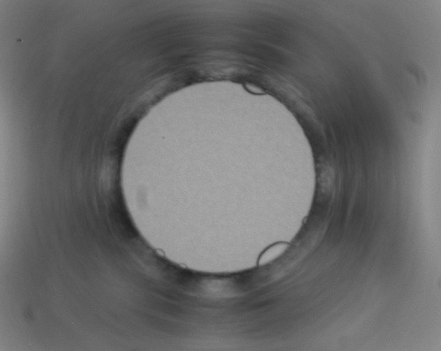 X0000113110283200910091205