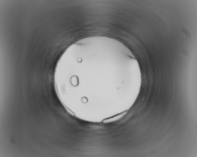 X0000113110284200910091205