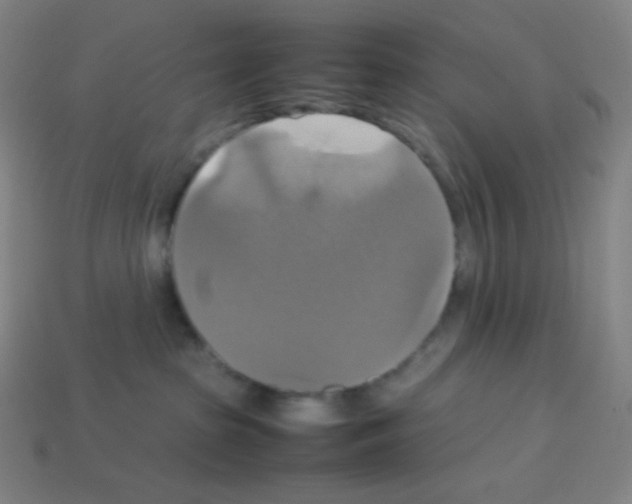 X0000113110285200910091205