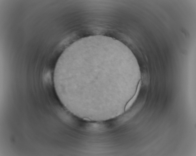 X0000113110286200910091205