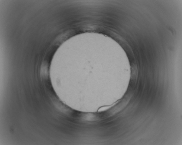 X0000113110287200910091205