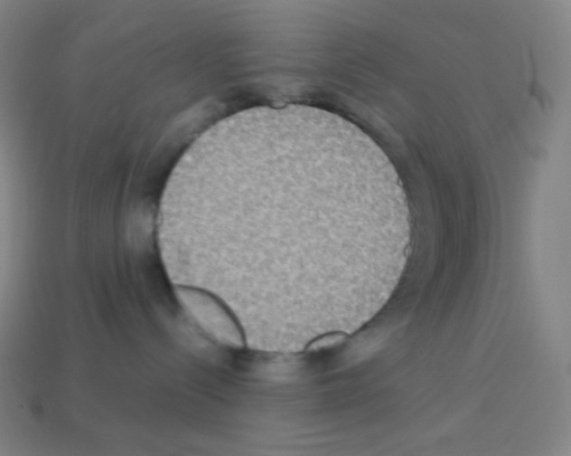 X0000113110288200910091205