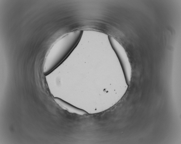 X0000113110289200910091205