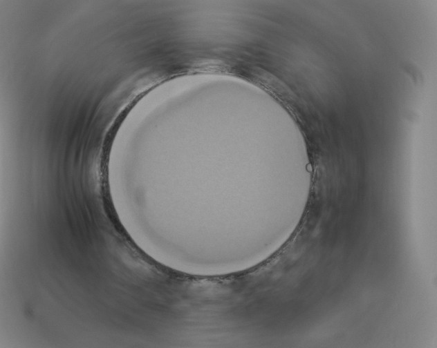 X0000113110290200910091205