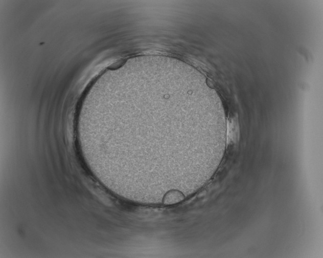 X0000113110291200910091205