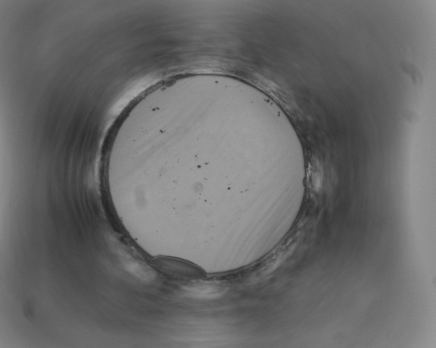 X0000113110292200910091205