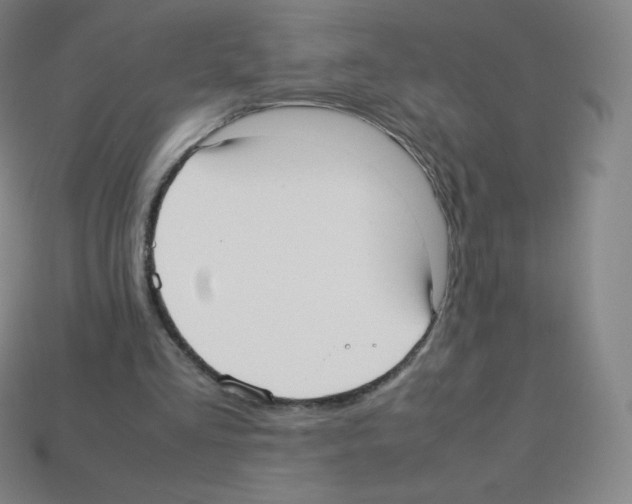 X0000113110293200910091205