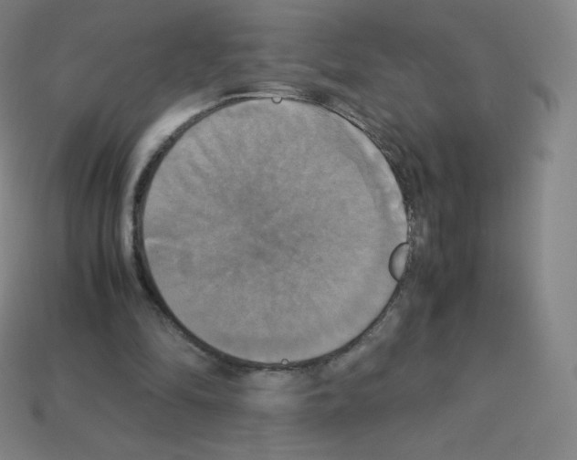 X0000113110294200910091205