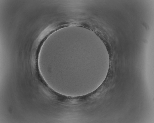 X0000113110295200910091205