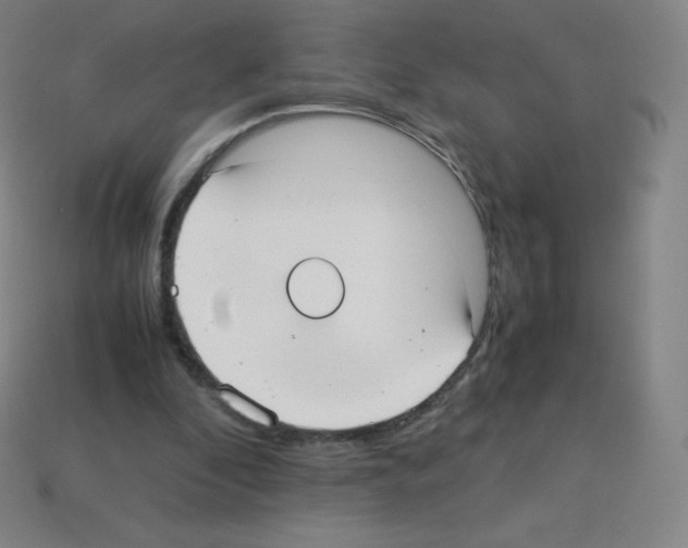 X0000113110296200910091205