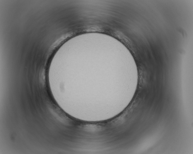X0000113110298200910091205