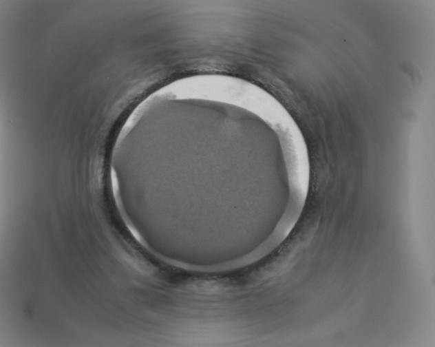 X0000113110299200910091205
