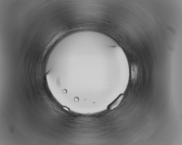 X0000113110300200910091205
