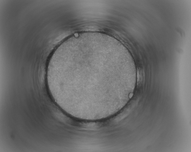 X0000113110301200910091205