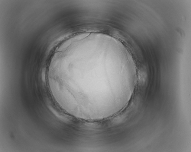 X0000113110302200910091205