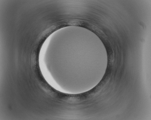 X0000113110303200910091205