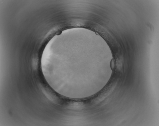 X0000113110304200910091205
