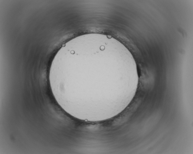 X0000113110306200910091205