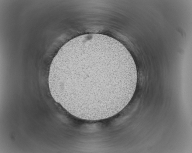 X0000113110307200910091205