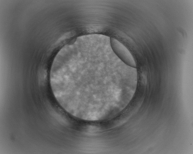 X0000113110308200910091205