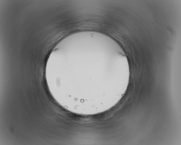 X0000113110309200910091205