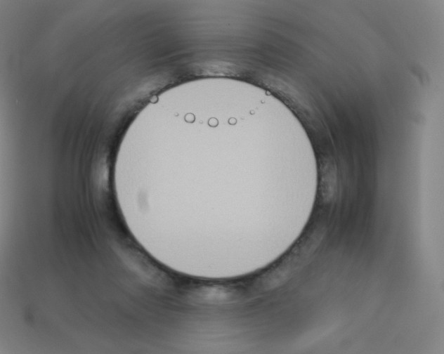 X0000113110310200910091205