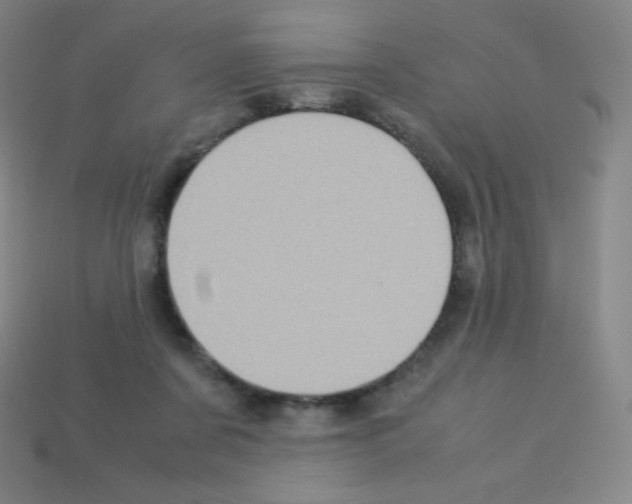 X0000113110311200910091205