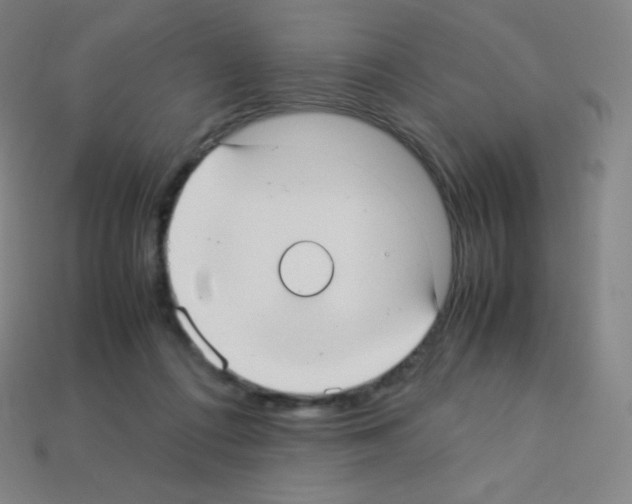 X0000113110312200910091205