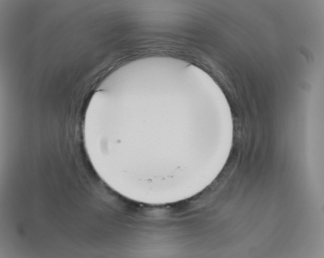 X0000113110313200910091205